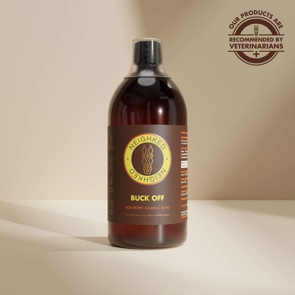 BUCK-OFF – EQUINE NOOTROPIC CALMING BLEND