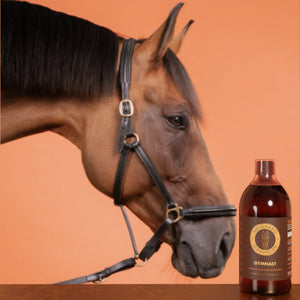 Unbridling the Truth: Debunking Myths About Horse Joint Supplements