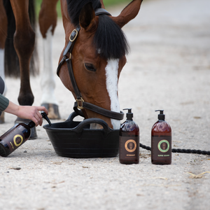 How Long Does It Take for Horse Calmers to Take Effect?