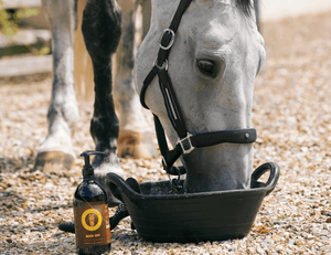 Keep Calm and Trot On: Discovering the Best Horse Calming Supplement