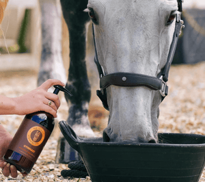 Unleashing the Power of Joint Supplements for Horses: A Leap Towards Equine Wellness