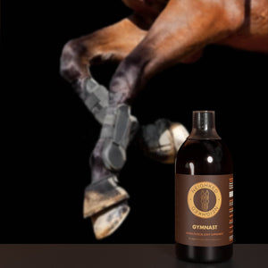 The Expert's Guide to Adding Joint Supplements to Your Horse’s Routine for Ultimate Mobility and Wellness