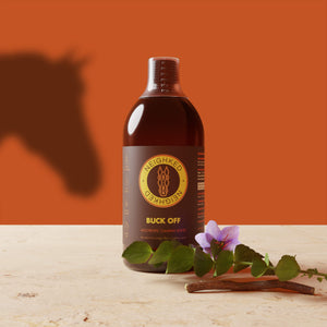 Ashwagandha: Why it is Used in Our Horse Calmers?