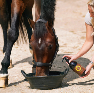 Buck-Off Calming Blend supplement being added to horse's feed.