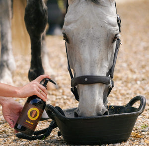 Buck-Off Calming Blend supplement being added to horse's feed.