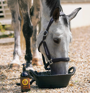 Buck-Off Calming Blend supplement next to horse's feeding.