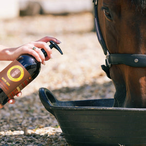 Buck-Off Calming Blend supplement being added to horse's feed.