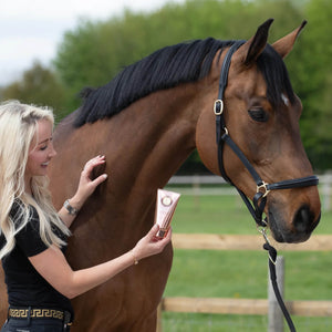 Collagen & Kelp Repairing Fondant with horse