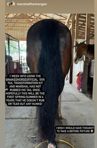 SOS Mane & Tail Transformation Kit