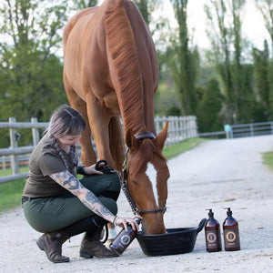 Feeding horse with Neighked wellness supplements.