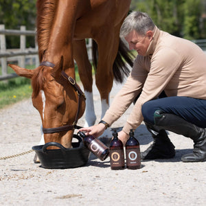 Feeding horse with Hercules Muscle building supplement