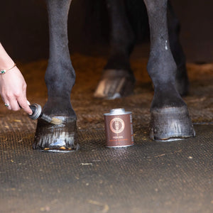 Glossy horse hooves after application of Pedi-Spa Hoof Treatment