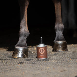 Glossy horse hooves after application of Pedi-Spa Hoof Treatment