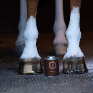 Glossy horse hooves after application of Pedi-Spa Hoof Treatment