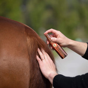 Applying Regrow Hair Regrowth Treatment to horse's tail