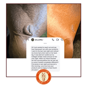 COLLAGEN & KELP EQUINE BODY FONDANT