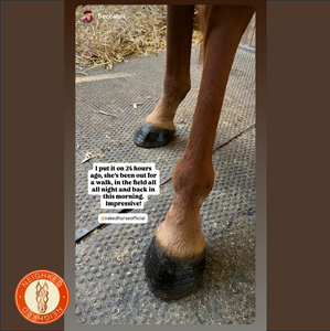 PEDI-SPA – THERAPEUTIC ARNICA & TEA TREE HOOF DRESSING – NEW FORMULA