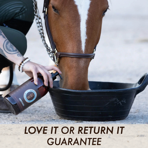 HERCULES –  EQUINE MUSCLE FUNCTION & CONSTRUCTION