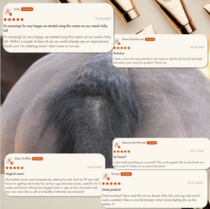 COLLAGEN & KELP EQUINE BODY FONDANT