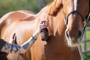 Stay Perfect being sprayed on a horse's coat