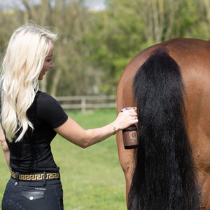 Summer Perfect bug repellent being sprayed on horse's tail.