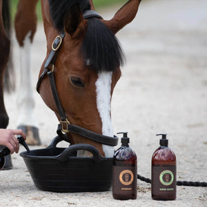 Super Sound joint comfort supplement being added to horse's feed.